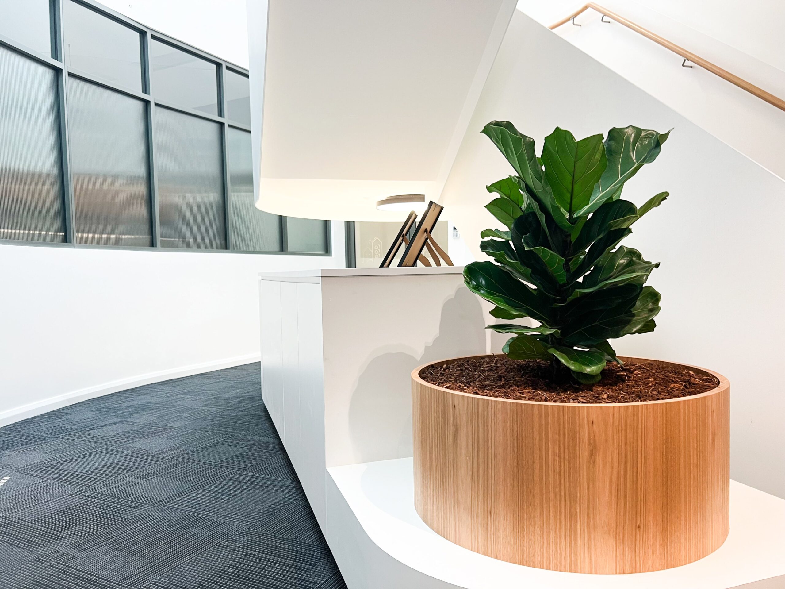 Ramboll Project 5