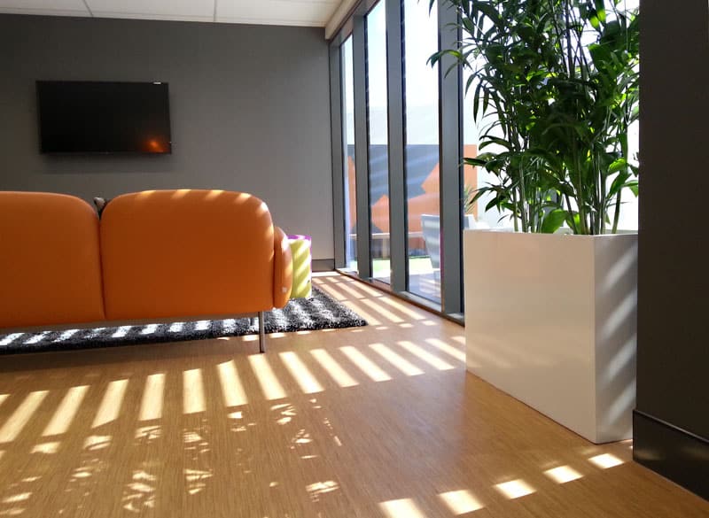Tall Prestige Floor Box White Bamboo Palm
