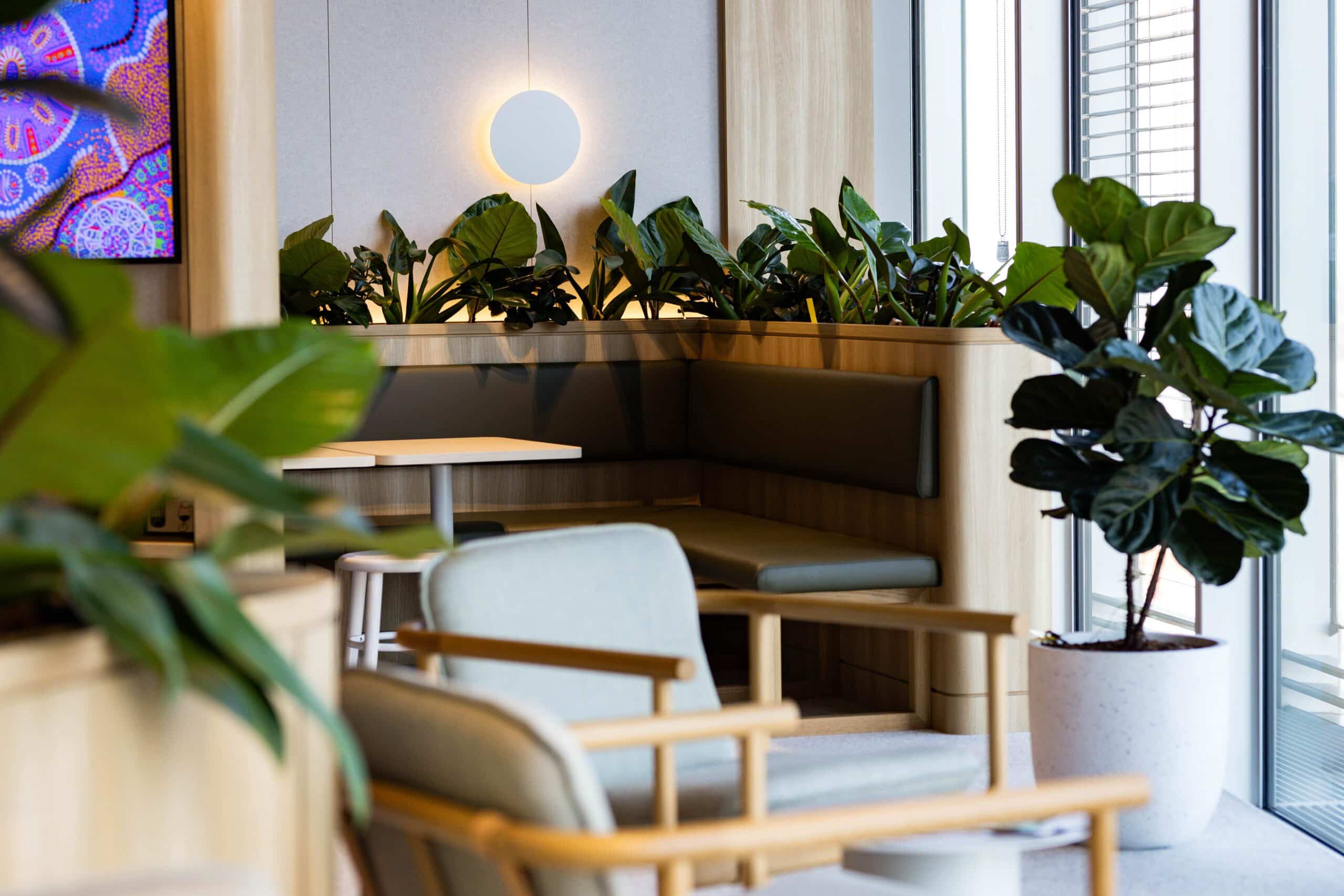 A mix of Joinery and Planters