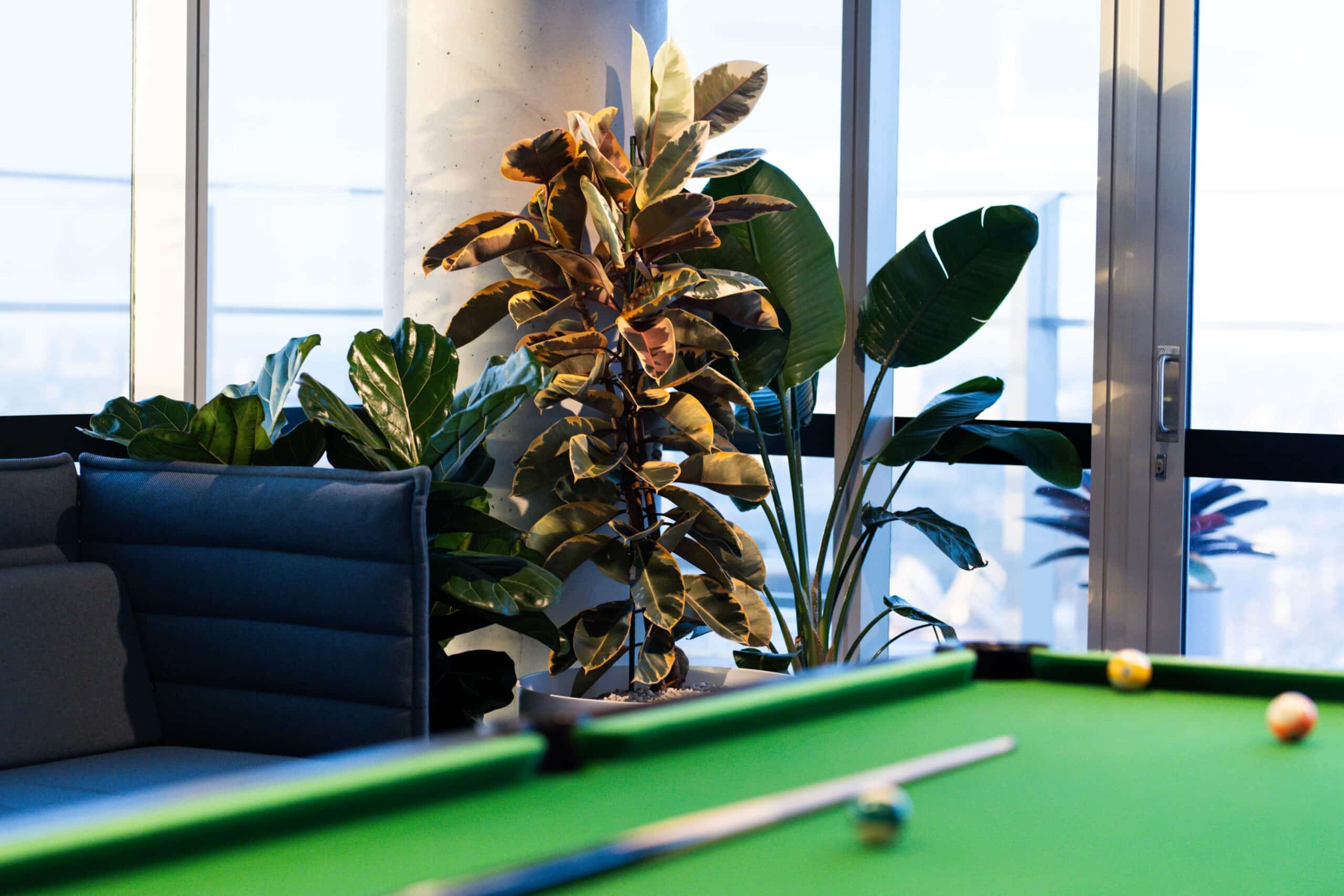 Add Greenery to any Space