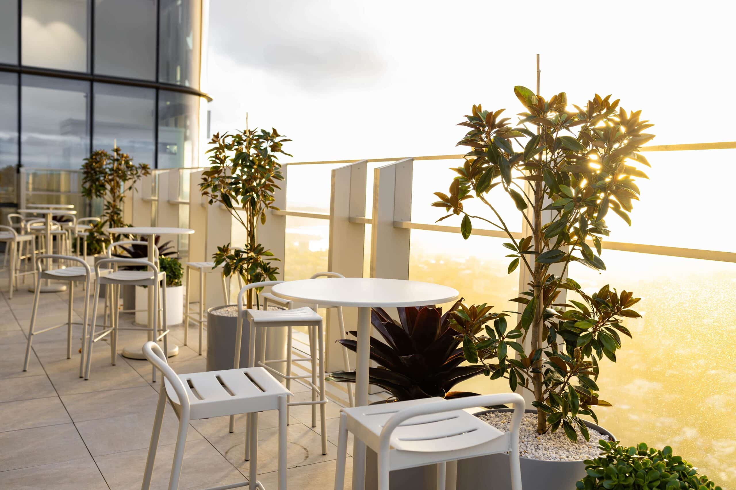 Corporate Outdoor Plant Hire