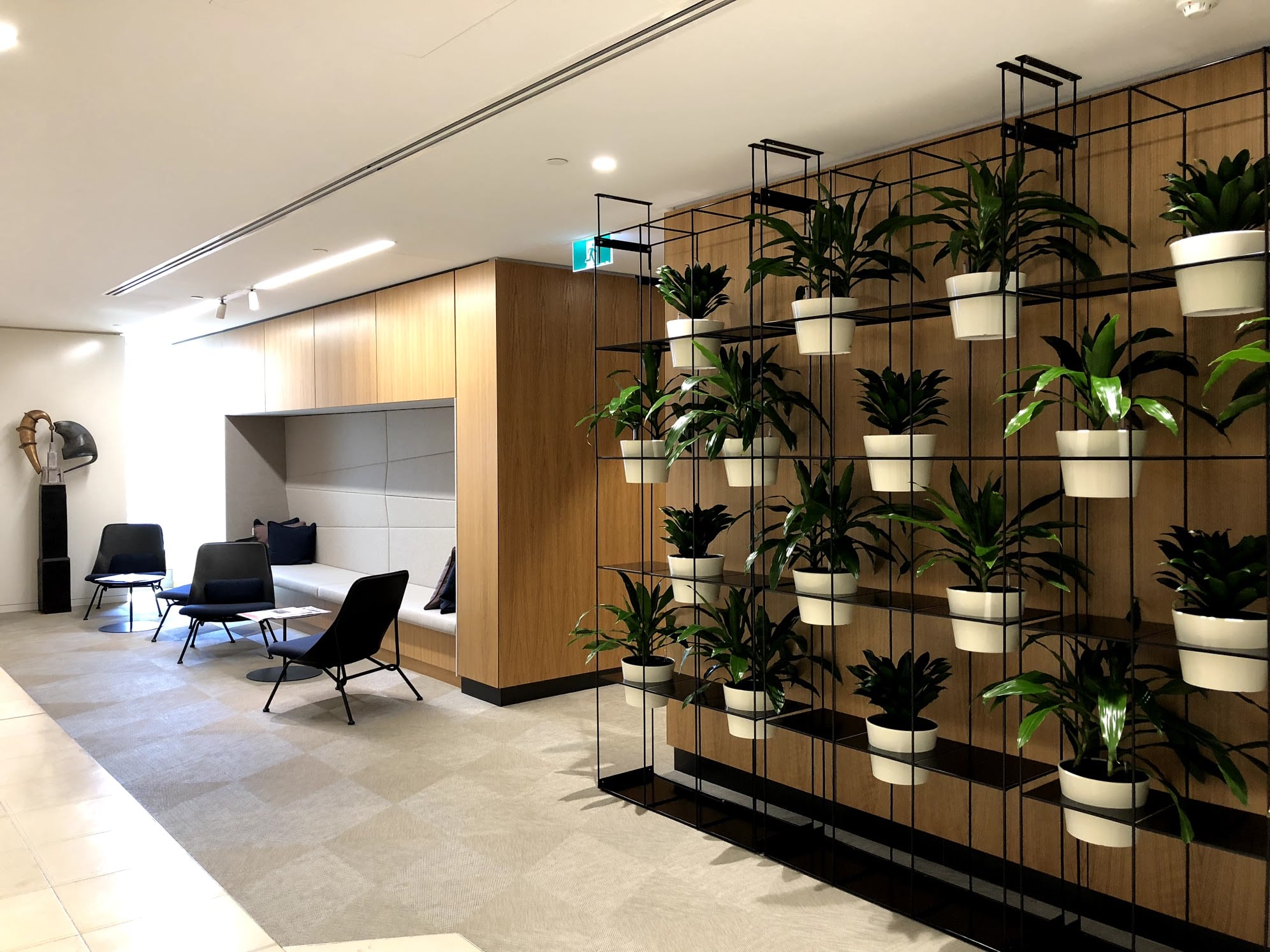 Euro Vertical Garden in an Office