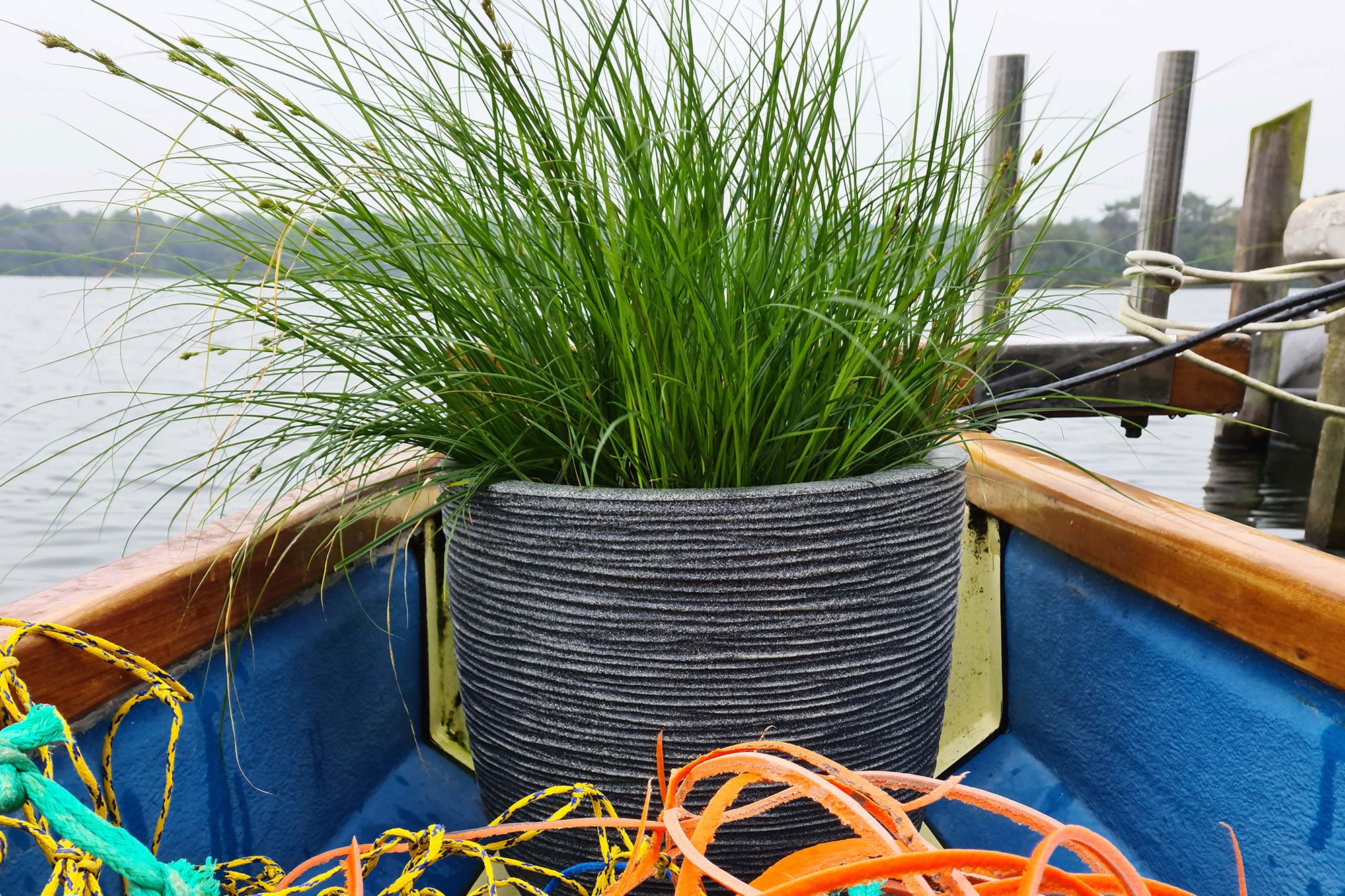 Green Design Carbon Neutrality