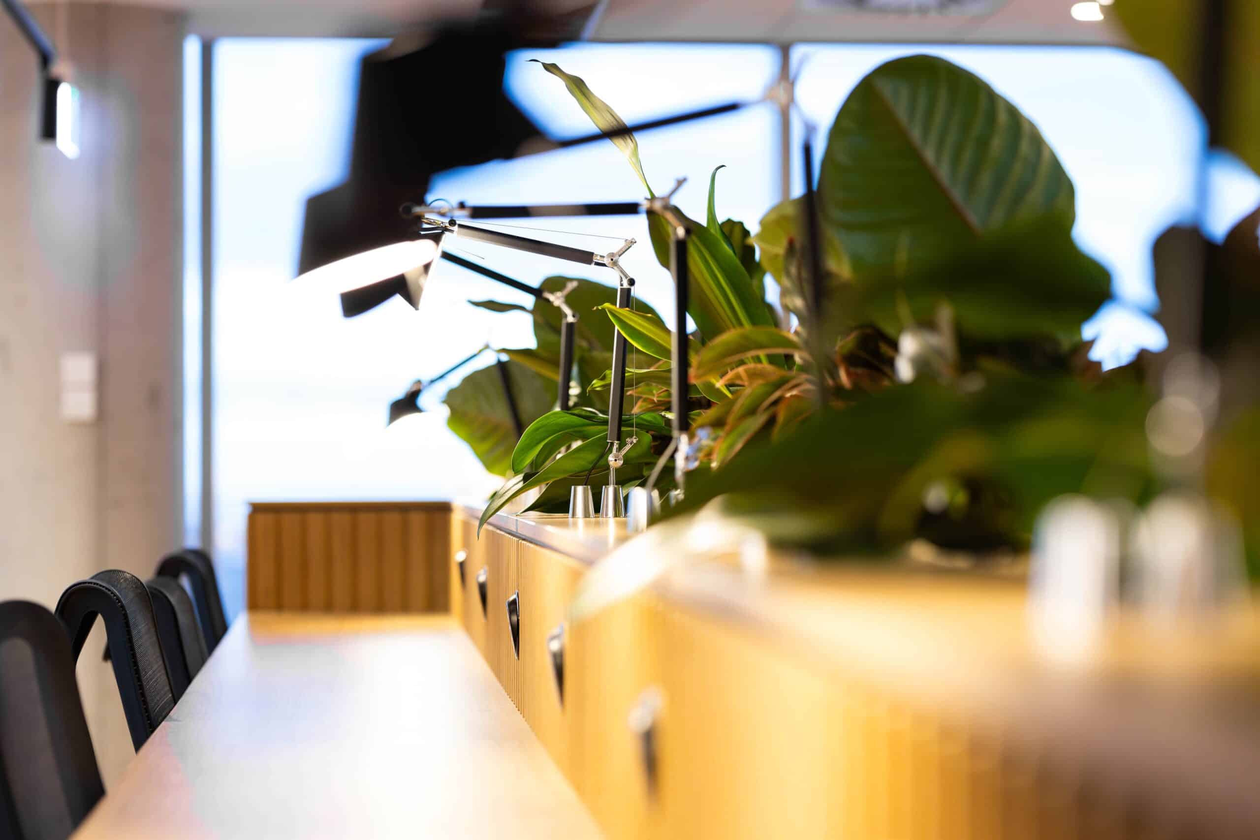 Integrated Desk and Joinery Planting