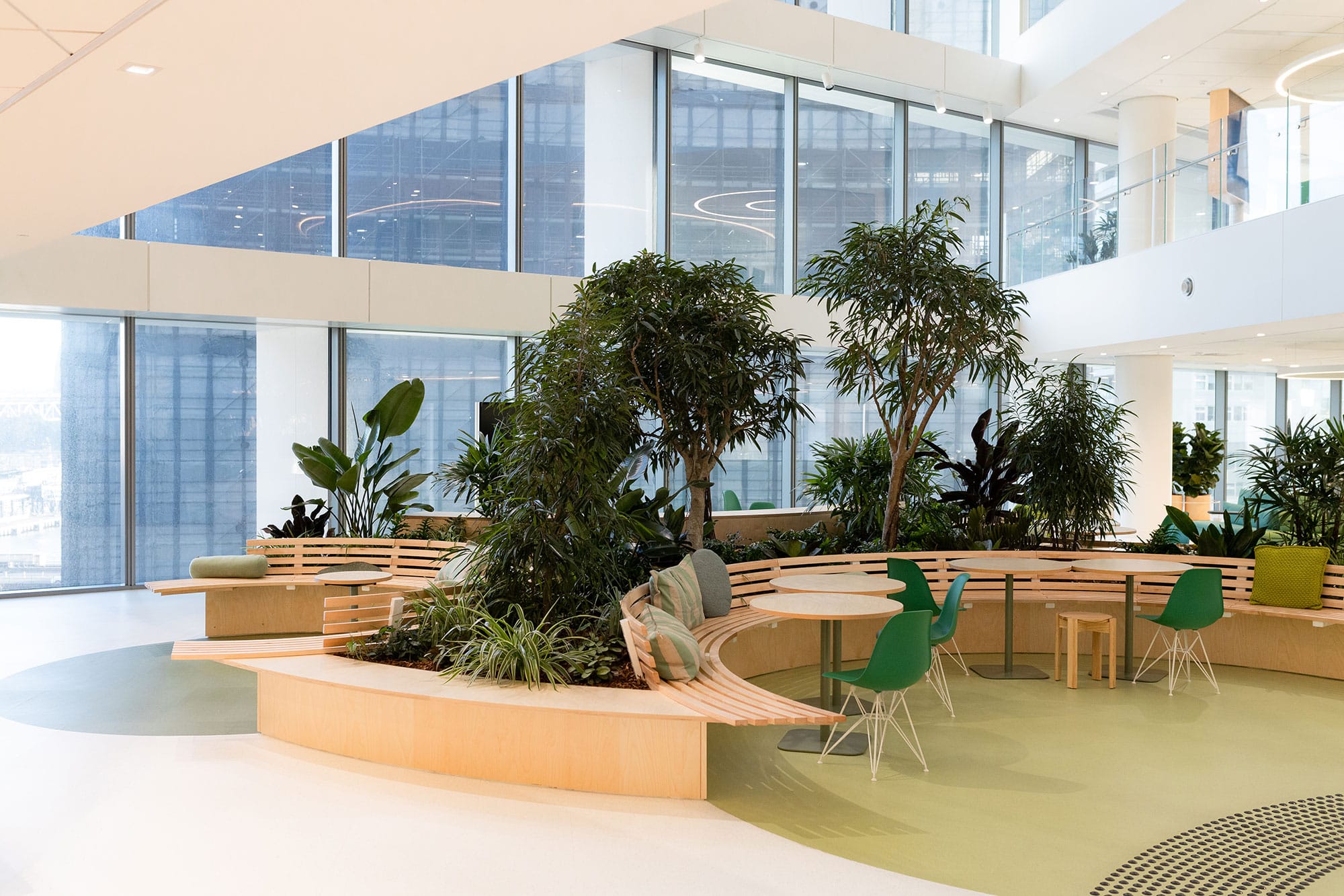 Joinery at Deloitte featuring a Ficus Sabre Tree