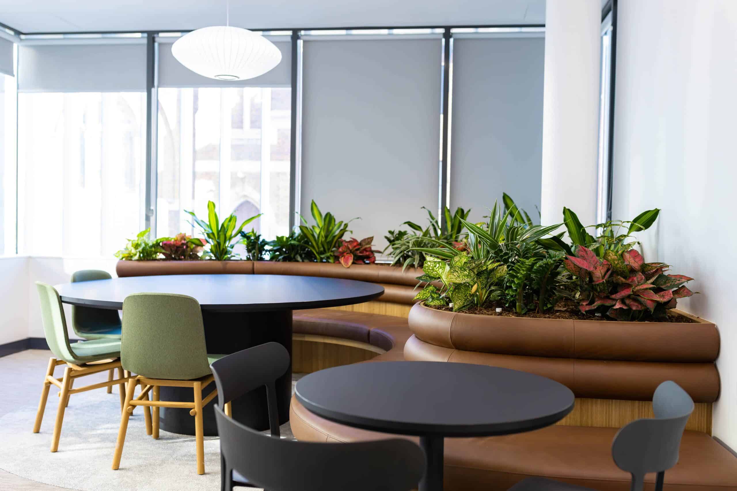 Joinery Planting in a Dining Area 2