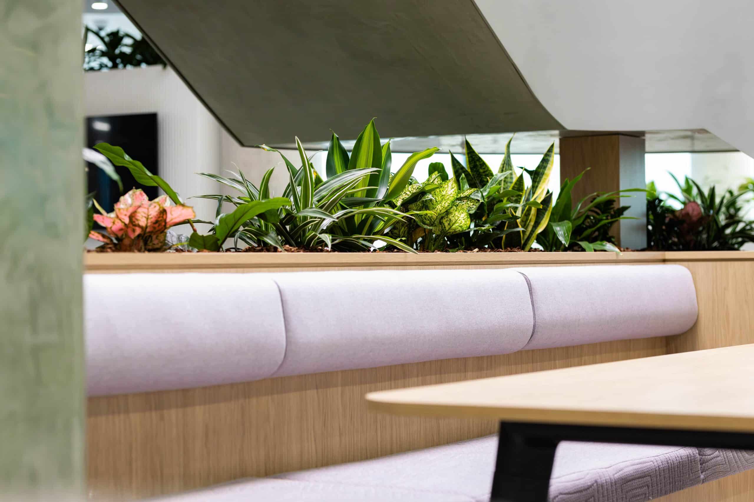 Joinery Planting