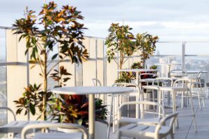 Outdoor Plant Hire Australia