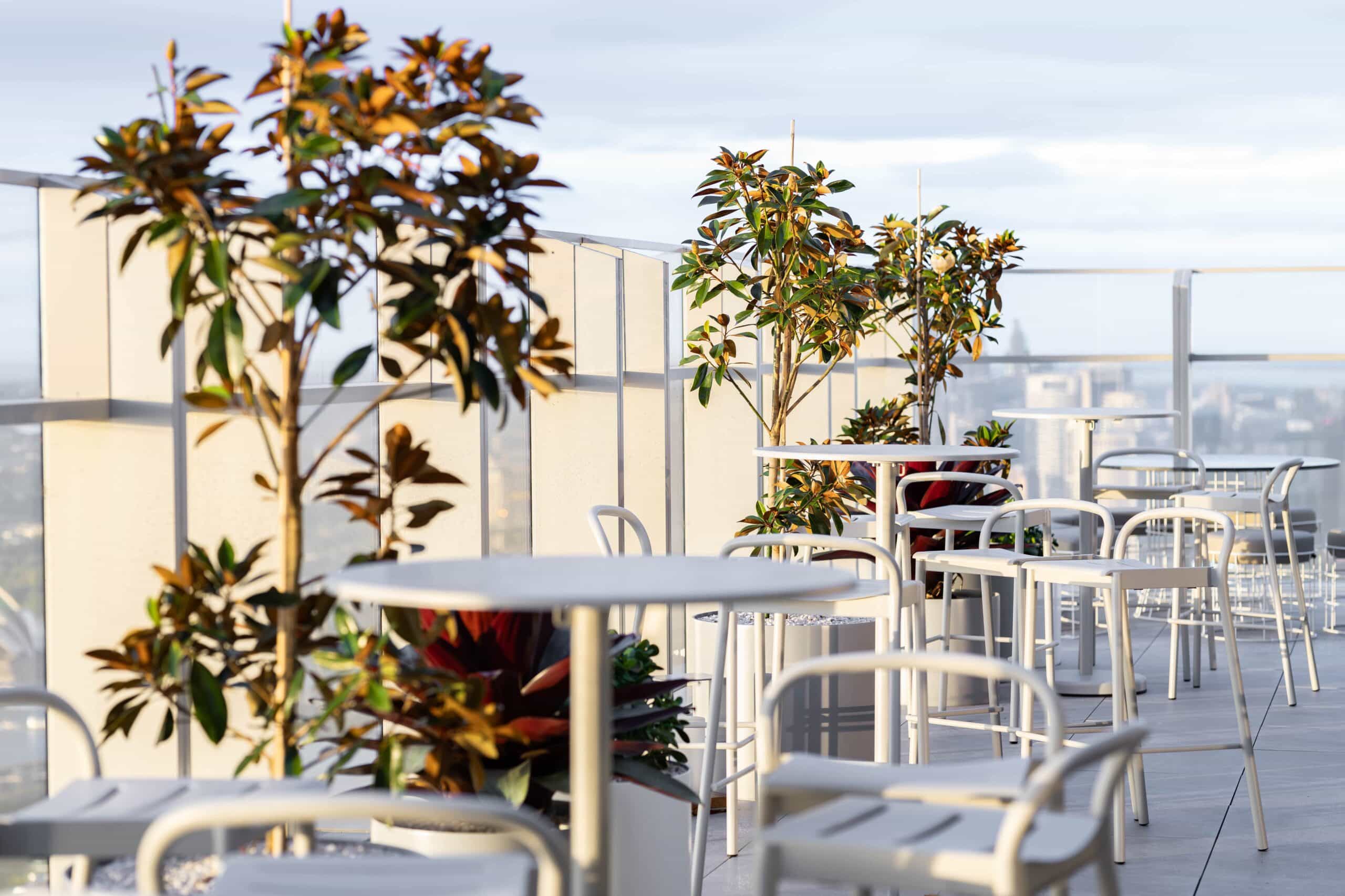 Outdoor Plant Hire