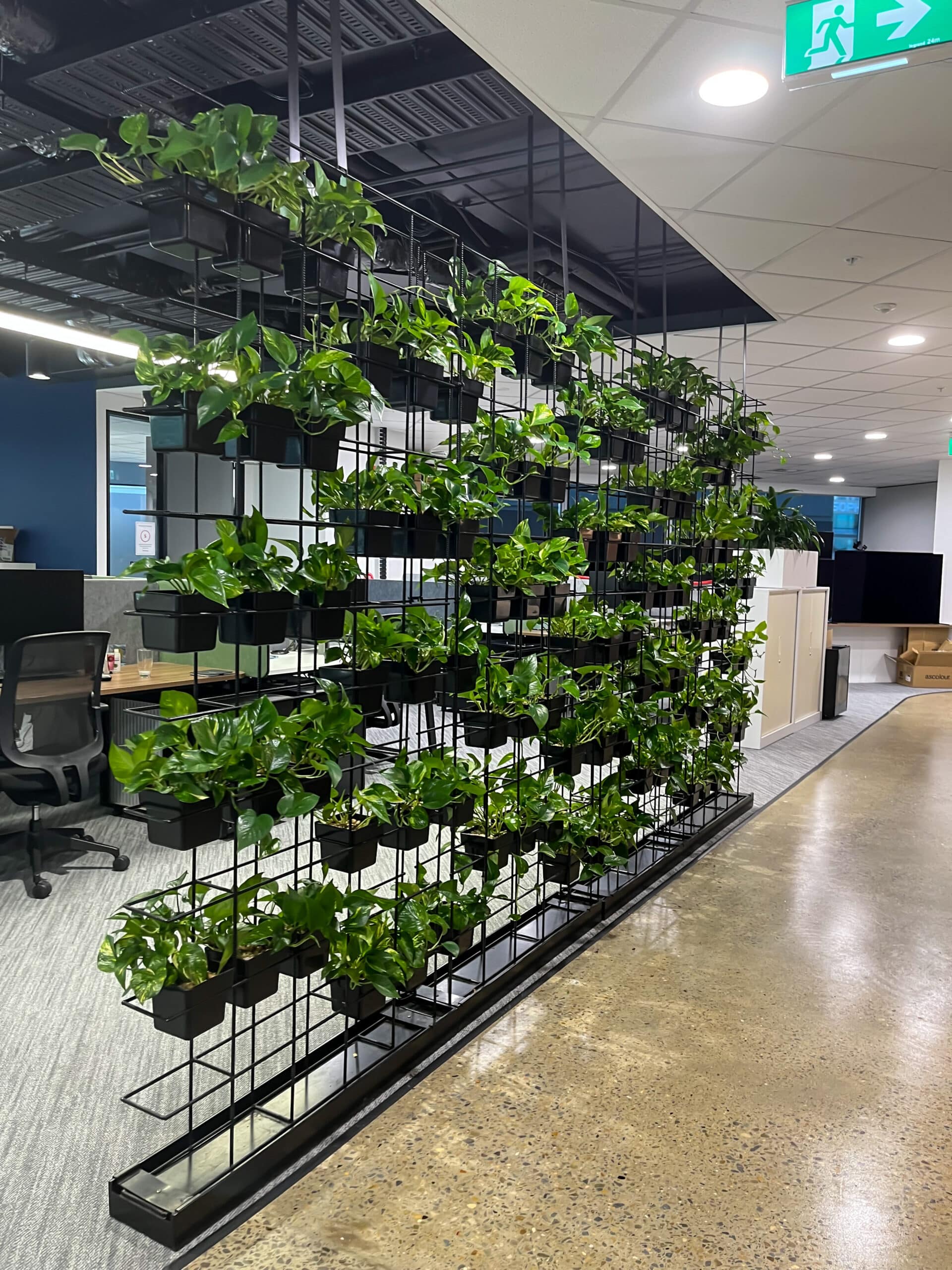 Vertical Garden at the Sony Offices