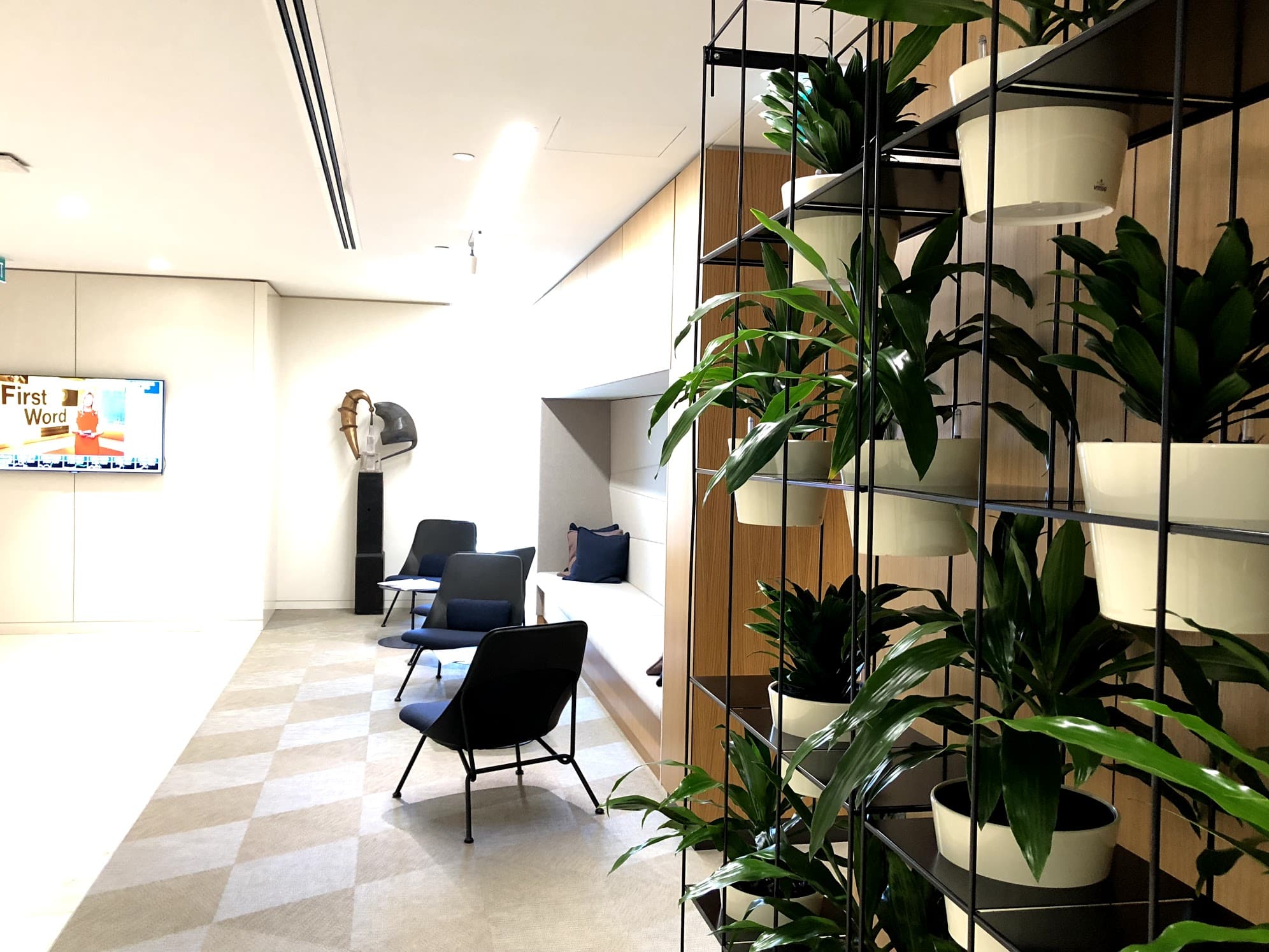 Vertical Garden Insallation Sydney Office