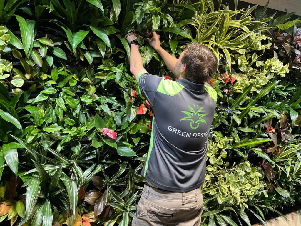 Vertical Greenery Installation