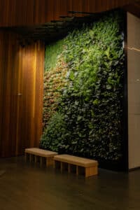 Green Wall at Stockland Piccadilly