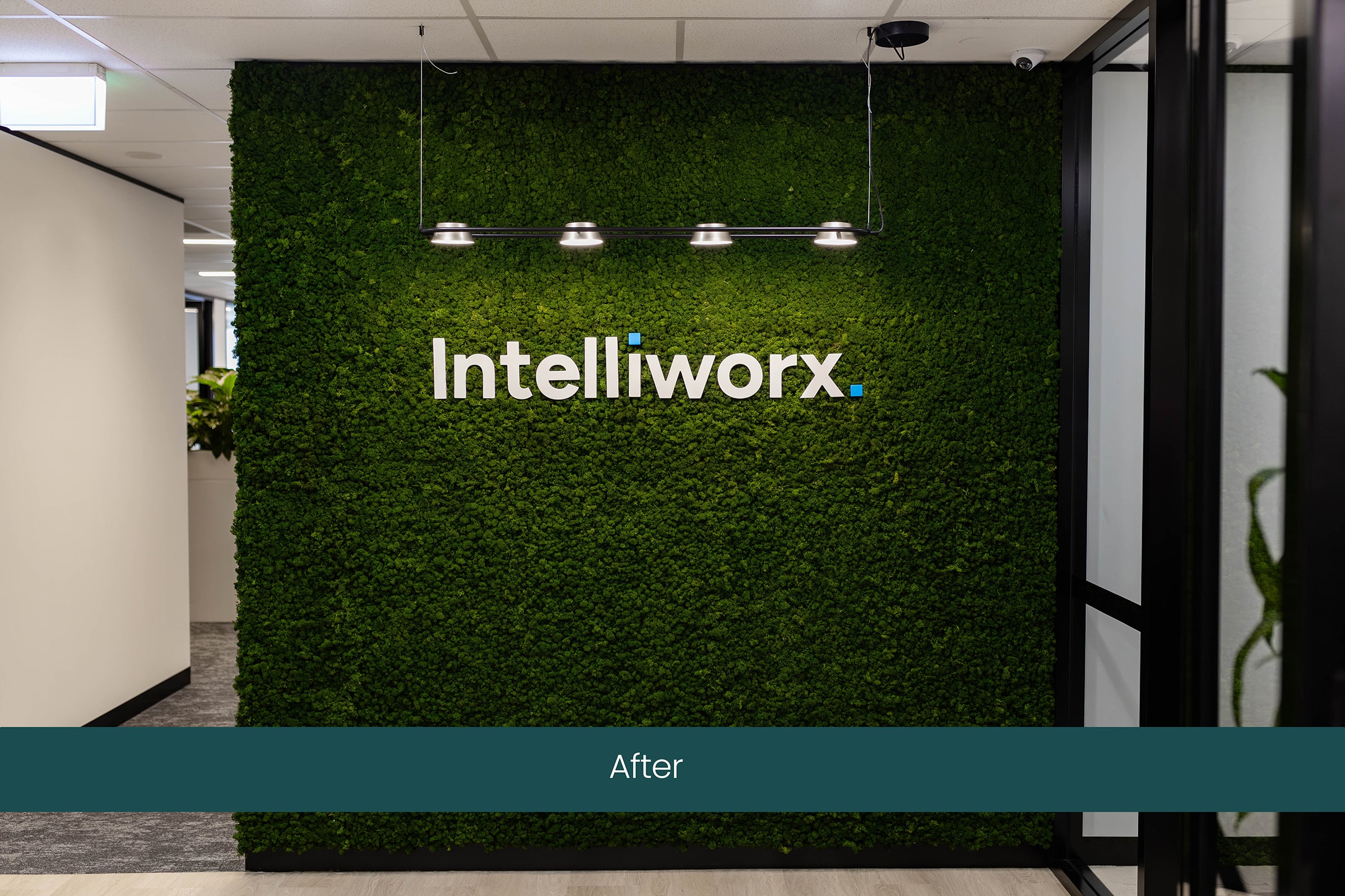 Moss Wall Installation After