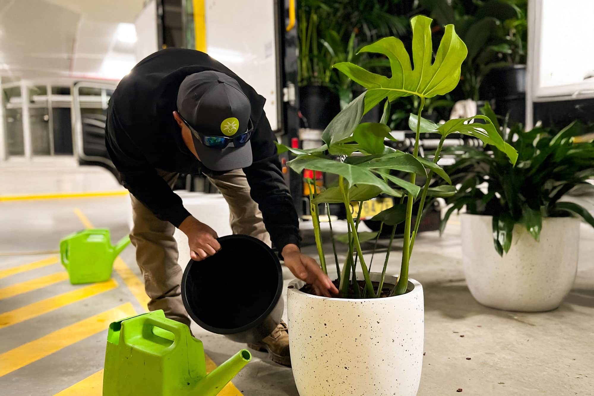 Preparing Pots for an Office Plant Installation