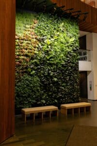 stockland-piccadilly-green-wall-3