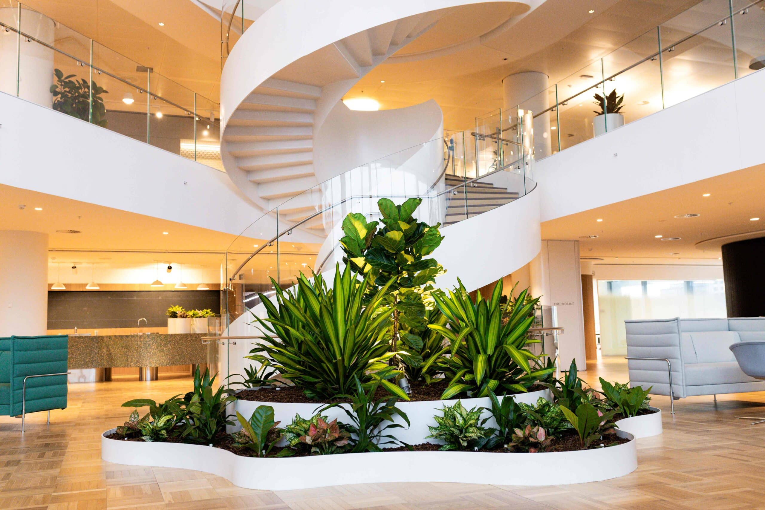 Joinery for Plants