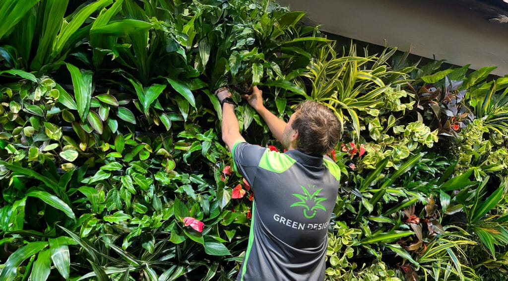 Installation of a Green Wall