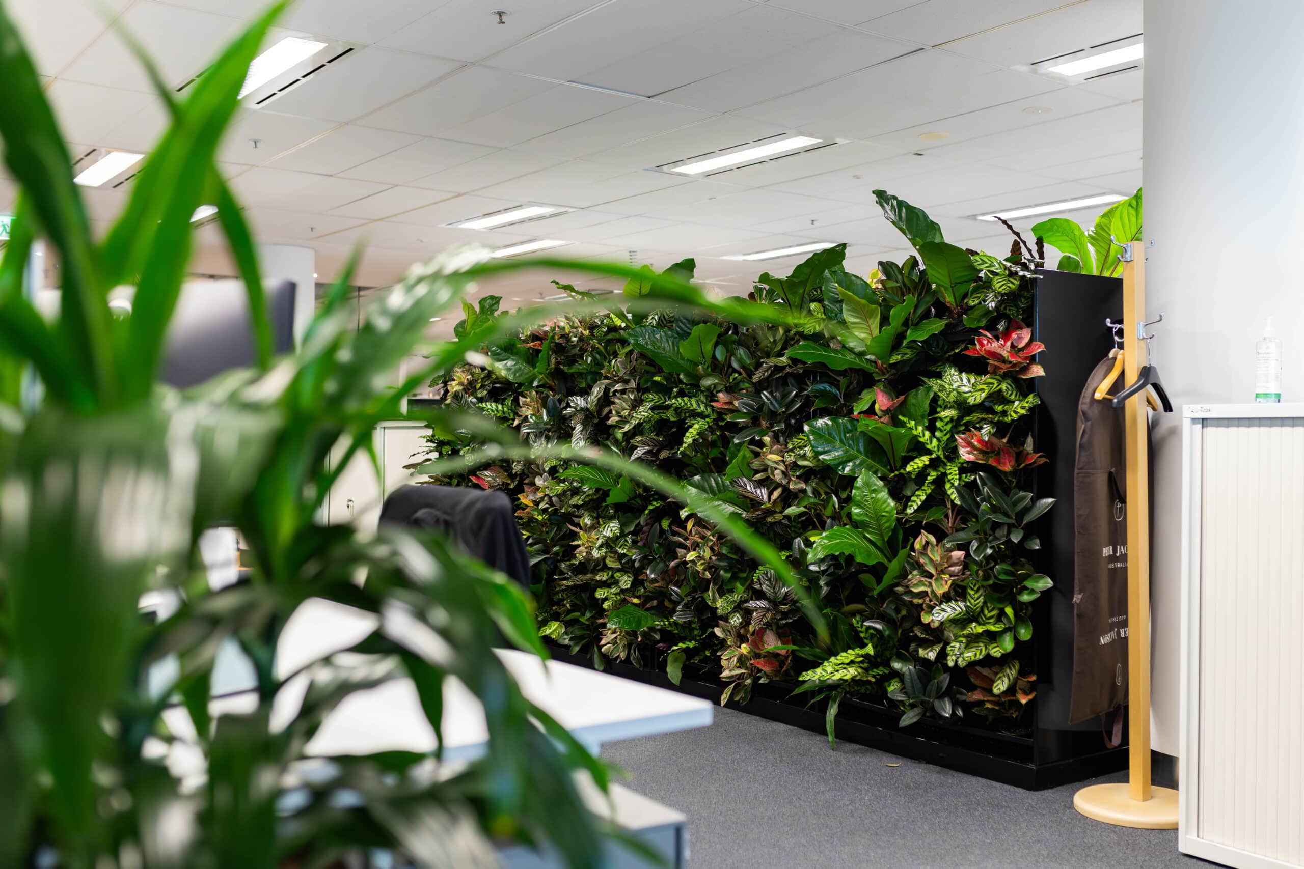 The New Power of Living Walls, Green Wall, vertical garden, garden wall, plant wall,