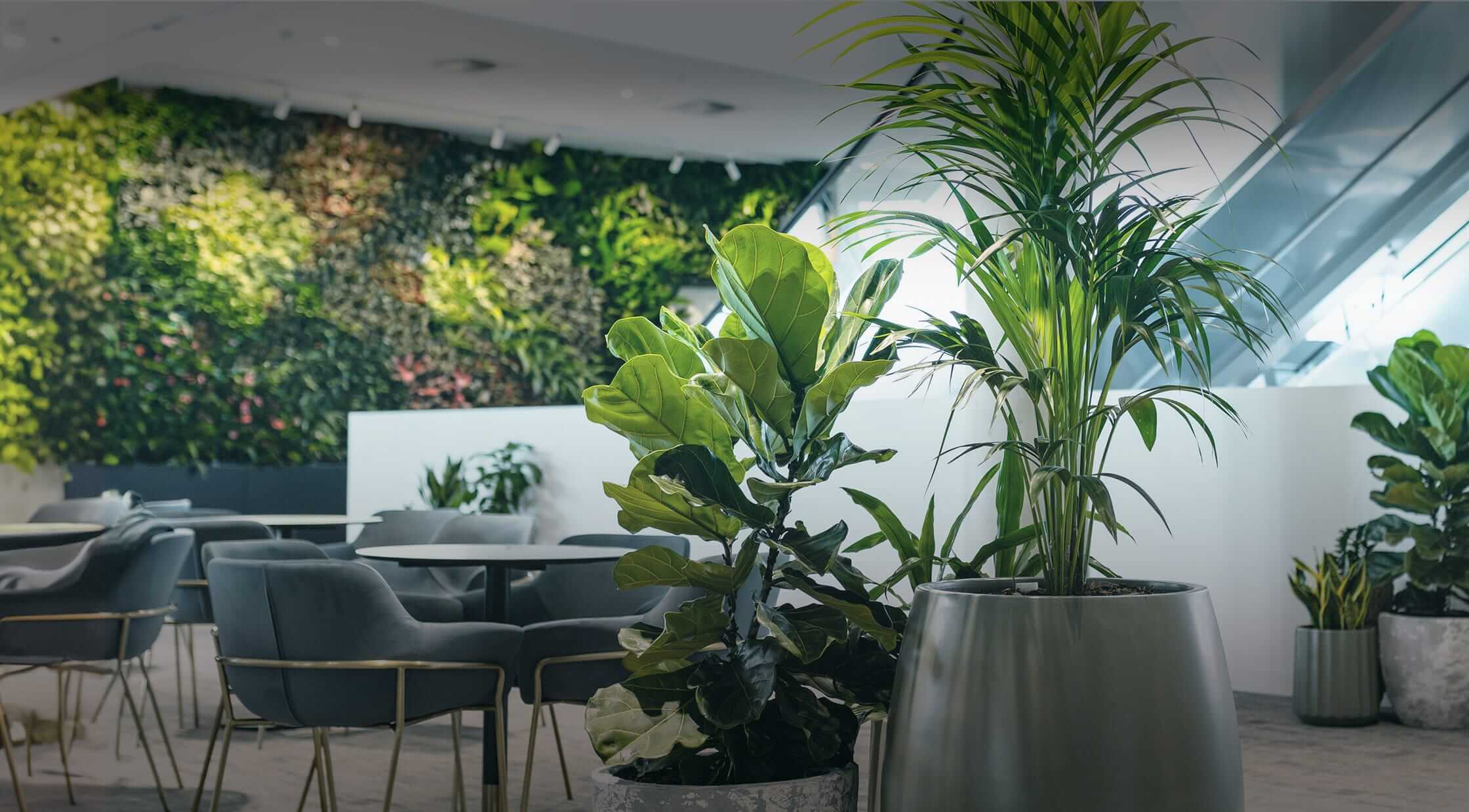 Modern Indoor Tree