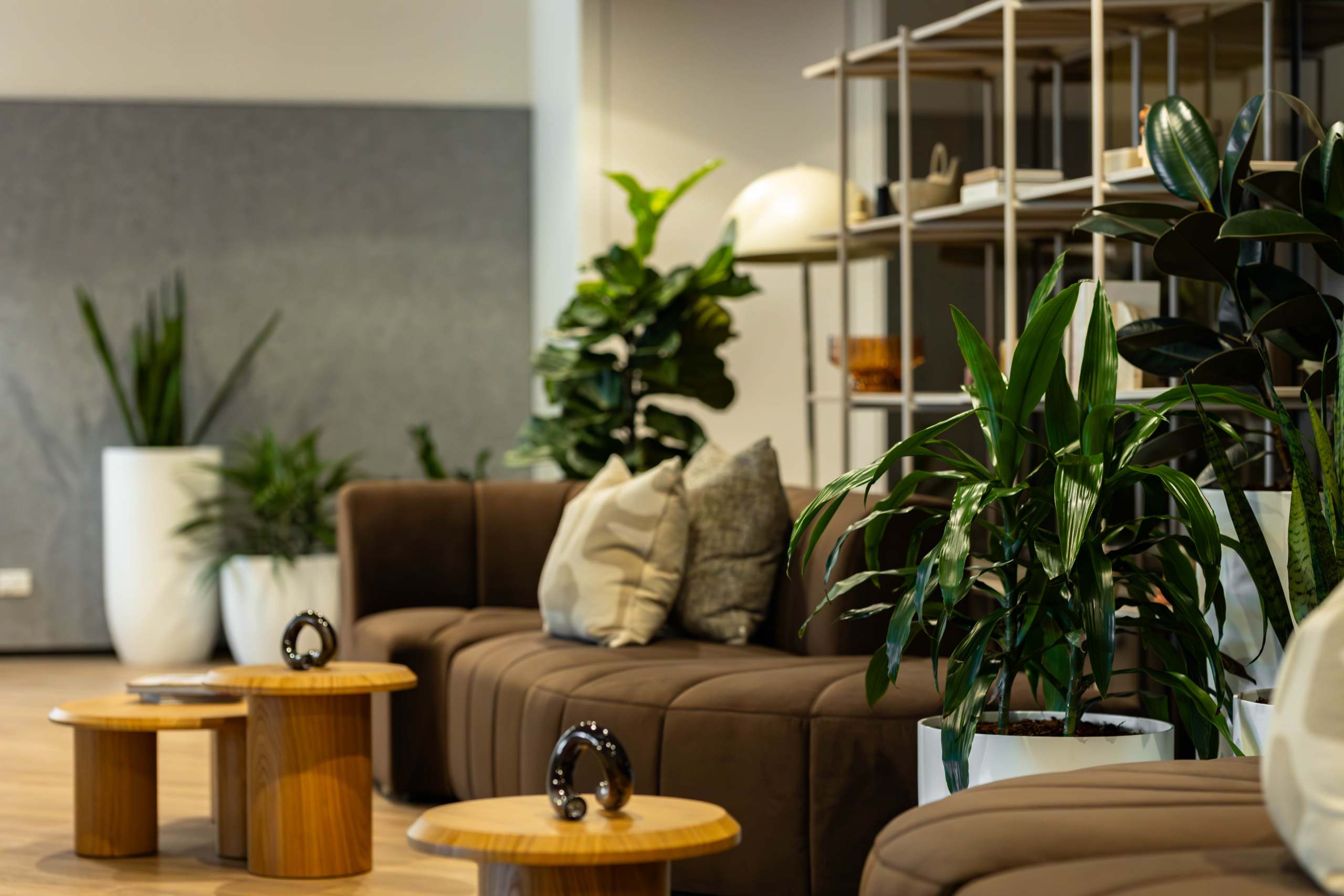 Lush indoor greenery creating welcoming hospitality atmosphere