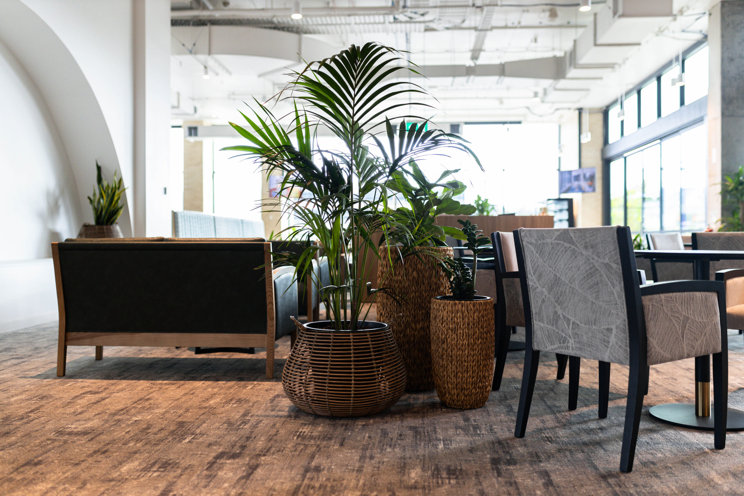 Office Plant Trends 2026 - Pot Cluster