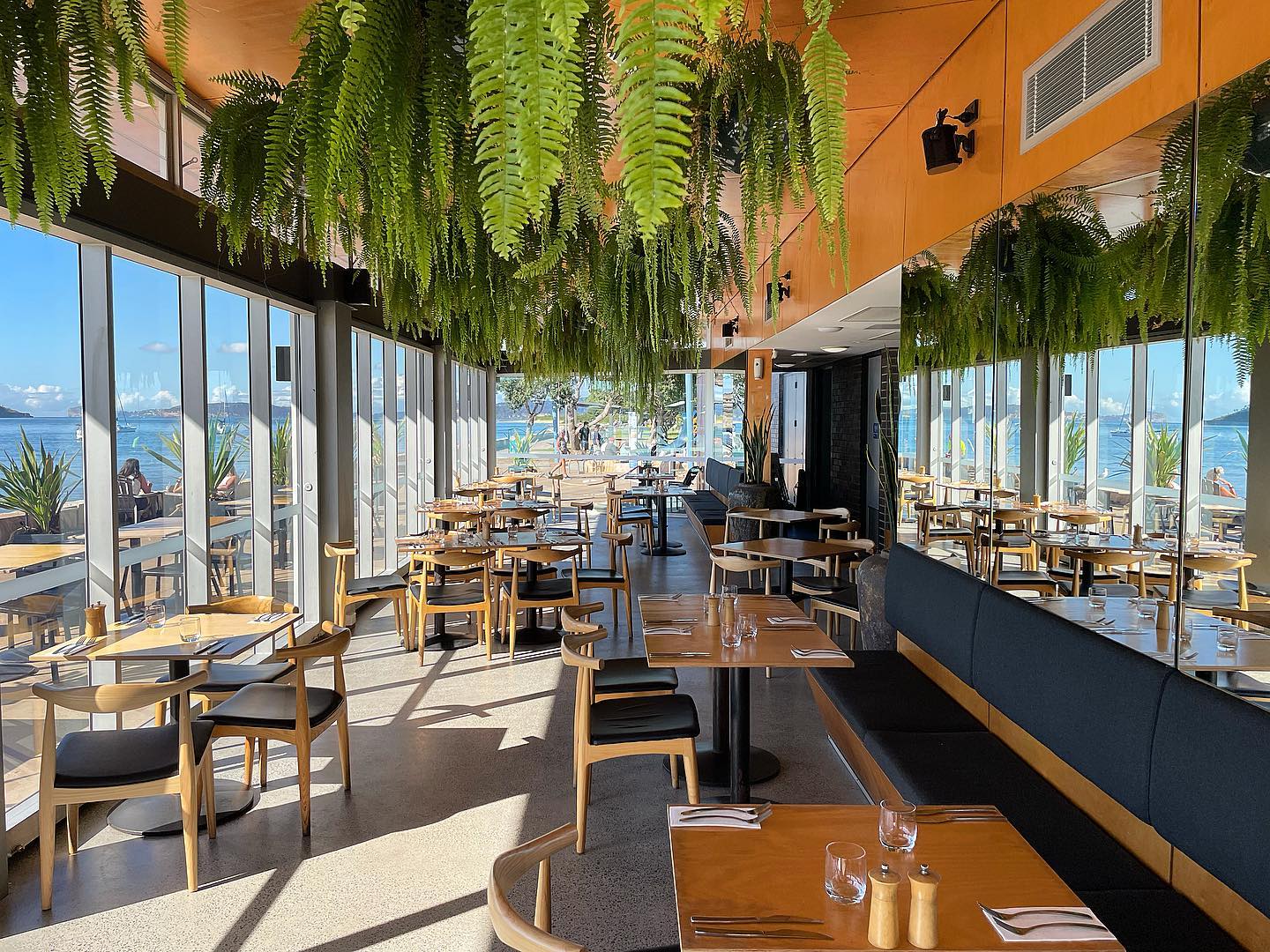 plants in hospitality, indoor plant hire, office plants,