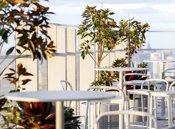 Indoor planting enhancing ambience in hospitality venue