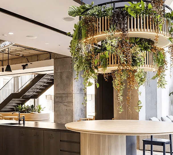 Indoor plant installation and maintenance