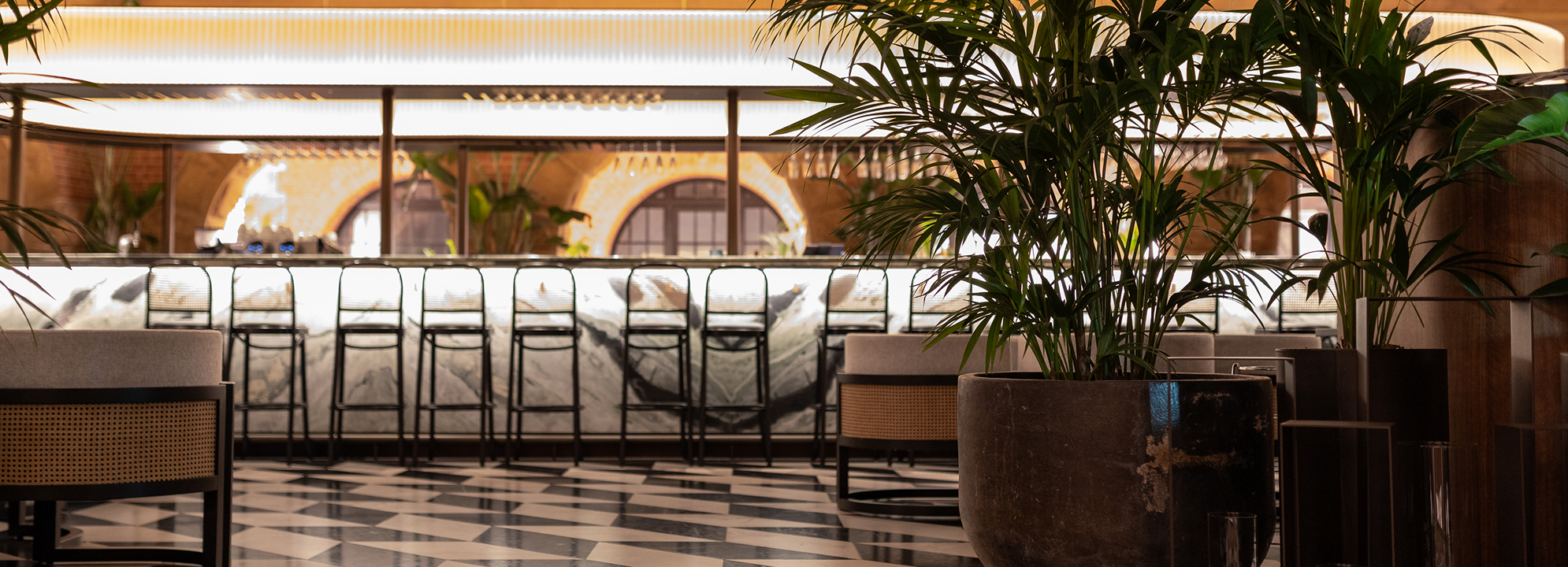 Hospitality Indoor Plant Hire