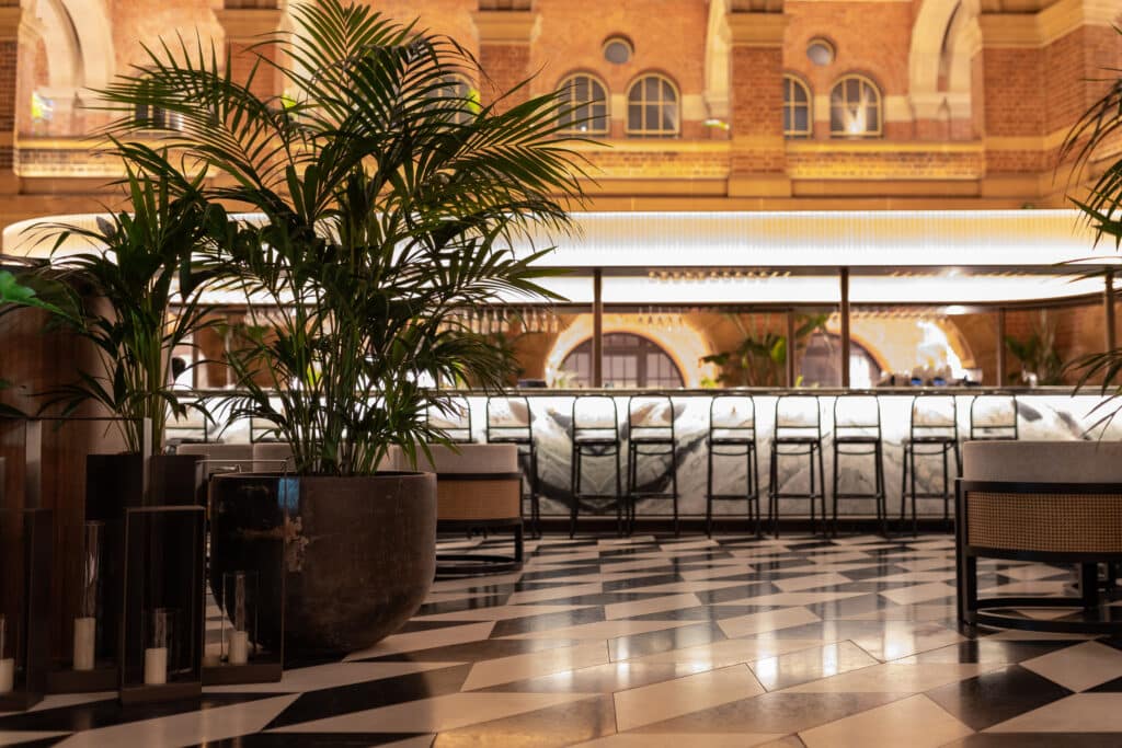 indoor plantscaping in a hotel lobby