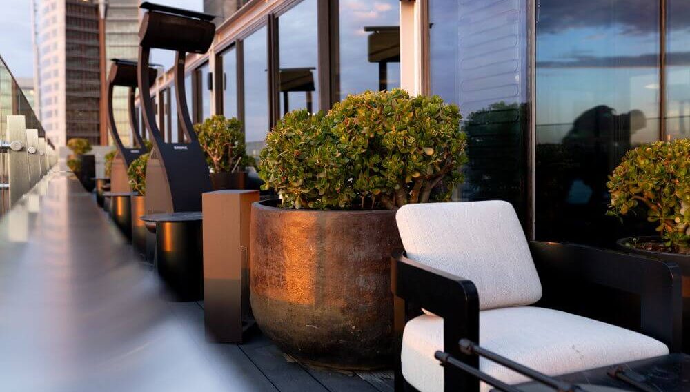 hotel plantscaping - intercontinental sydney - outdoor plants on hotel terrace