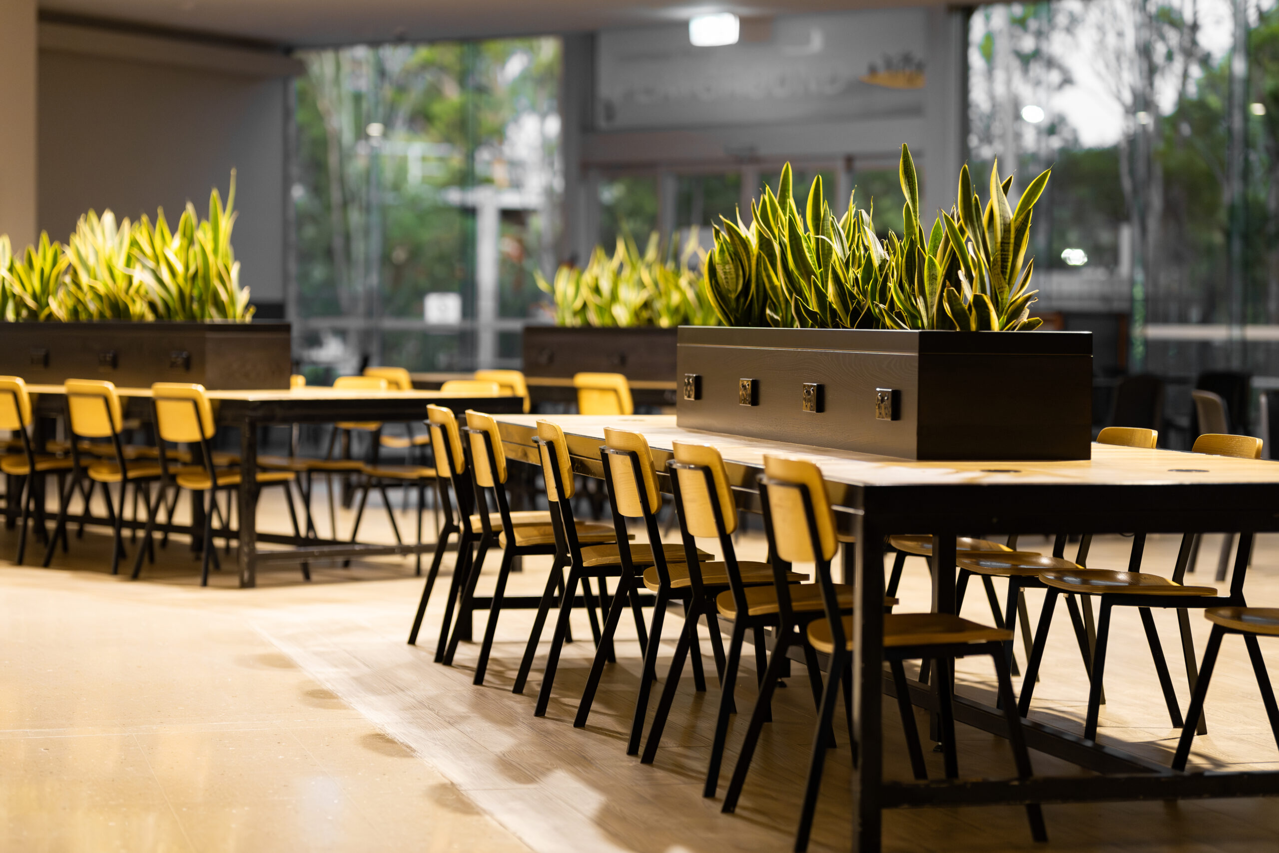 Plants for Retail Centres