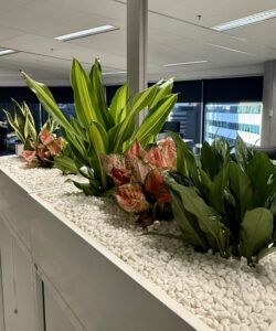 Green Design Integration - Planting into Joinery