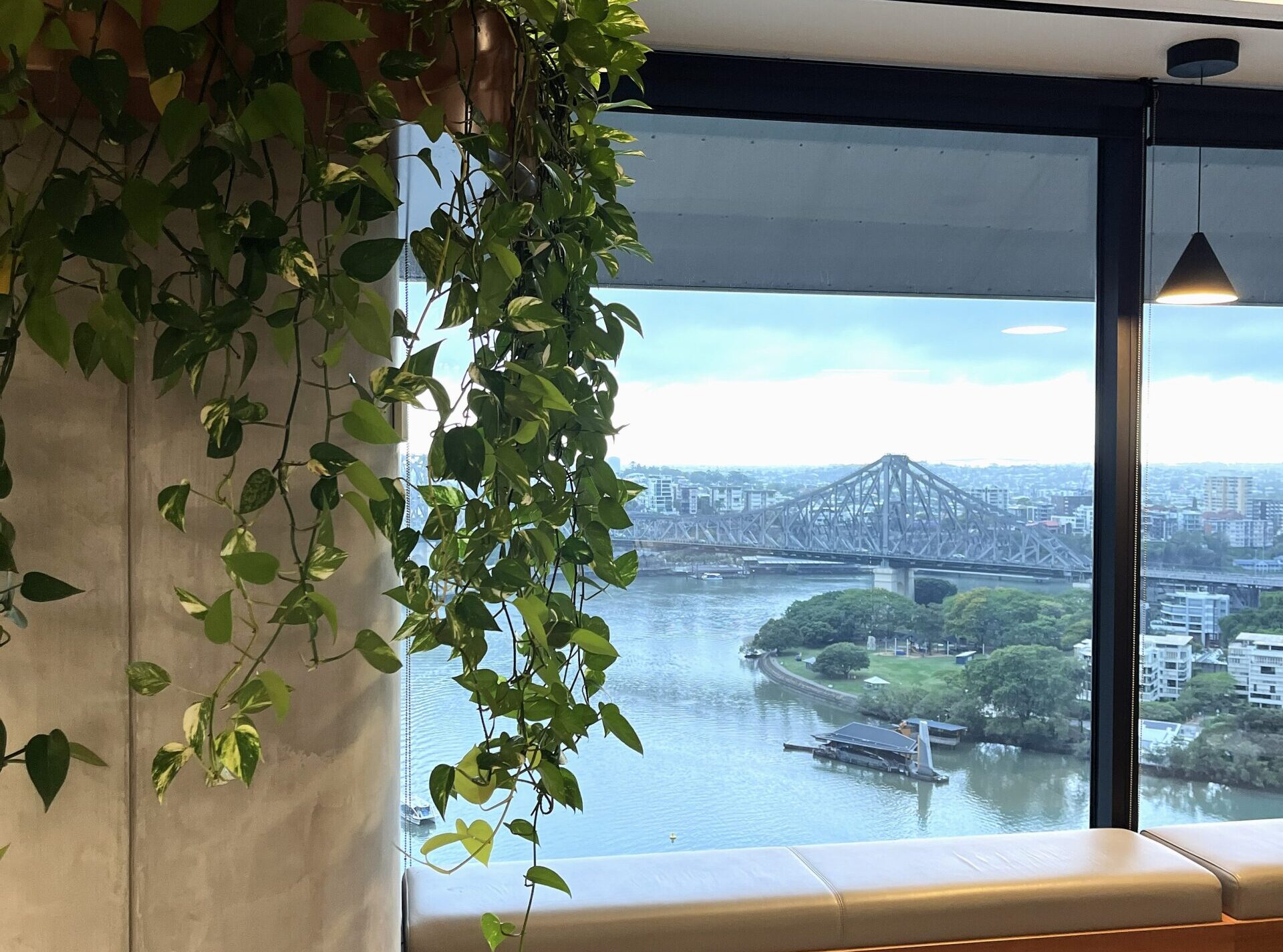 Indoor Plant Hire Brisbane