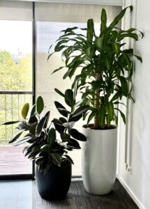 Green Design Integration with Tropical Plants and Port Clusters