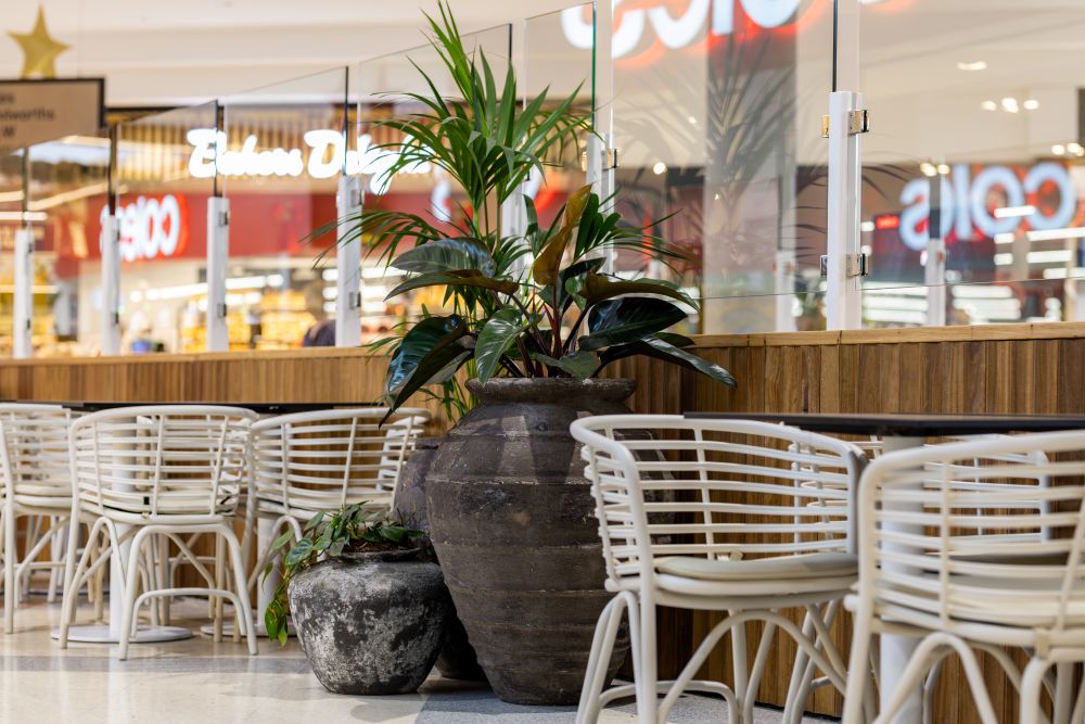 Winston Hills Mall Indoor Plant and Sustainable Pot Clusters