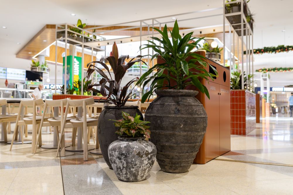 Winston Hills Mall Indoor Plant and Sustainable Pot Clusters