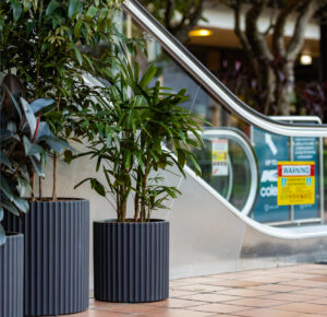Plants for retail centres soften open space