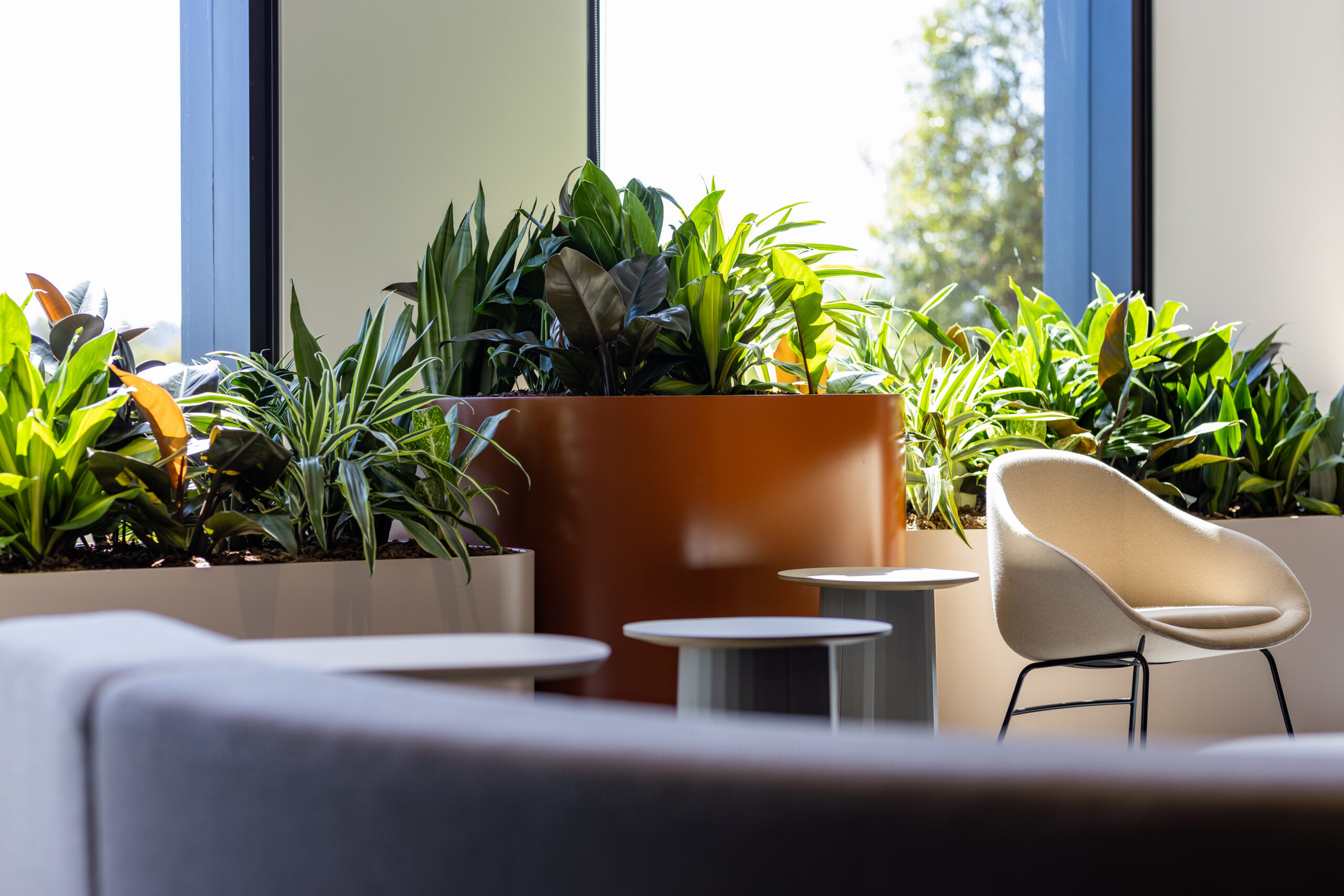 Mixed plants in joinery