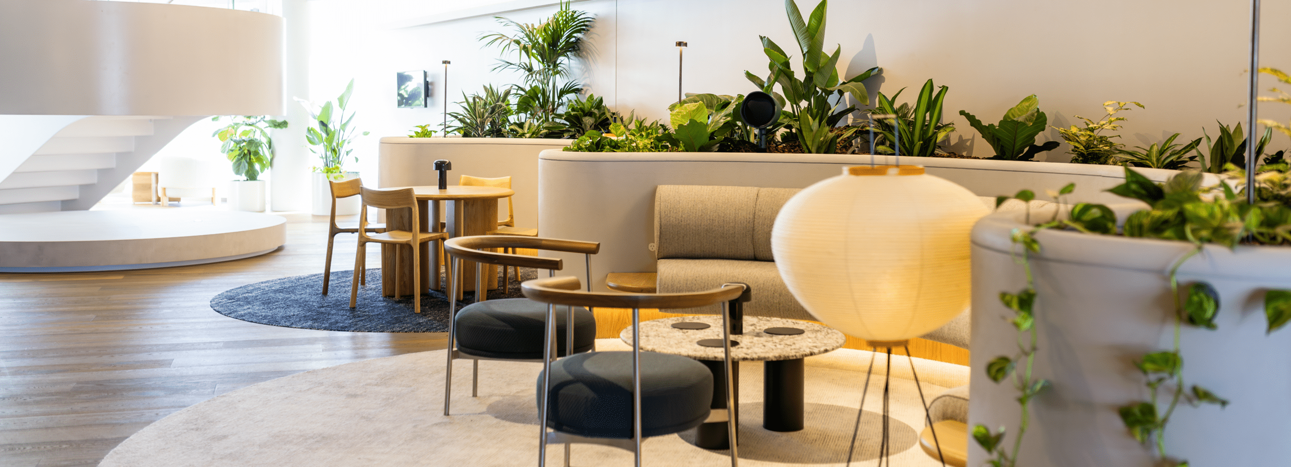 Corporate Indoor Plant Hire