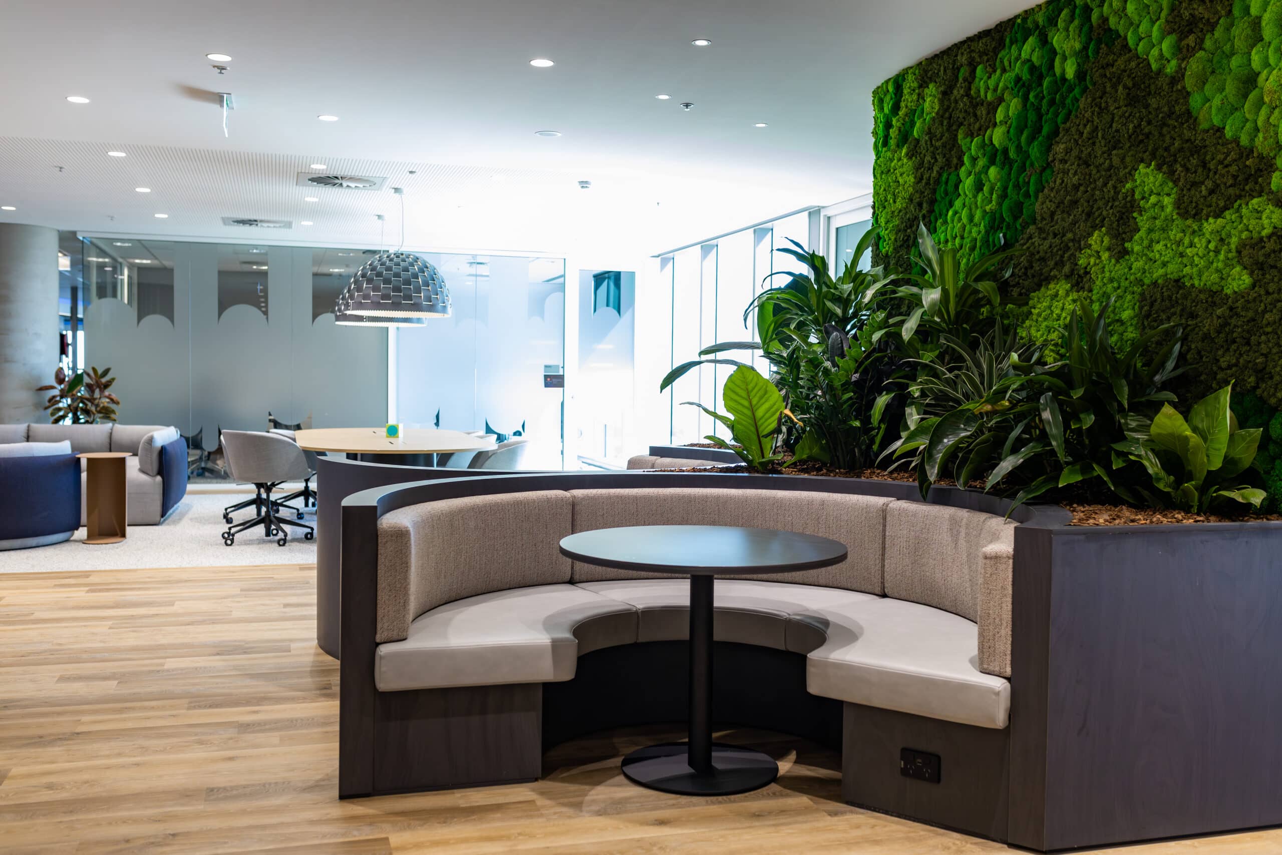 Indoor planting enhancing ambience in hospitality venue