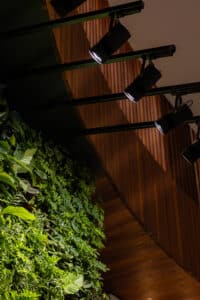 Gold Award Winning Green Wall Light Considerations