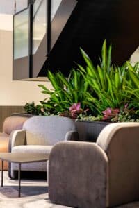 Two Gold Indoor Plant Hire Awards for a technically complex commercial installation