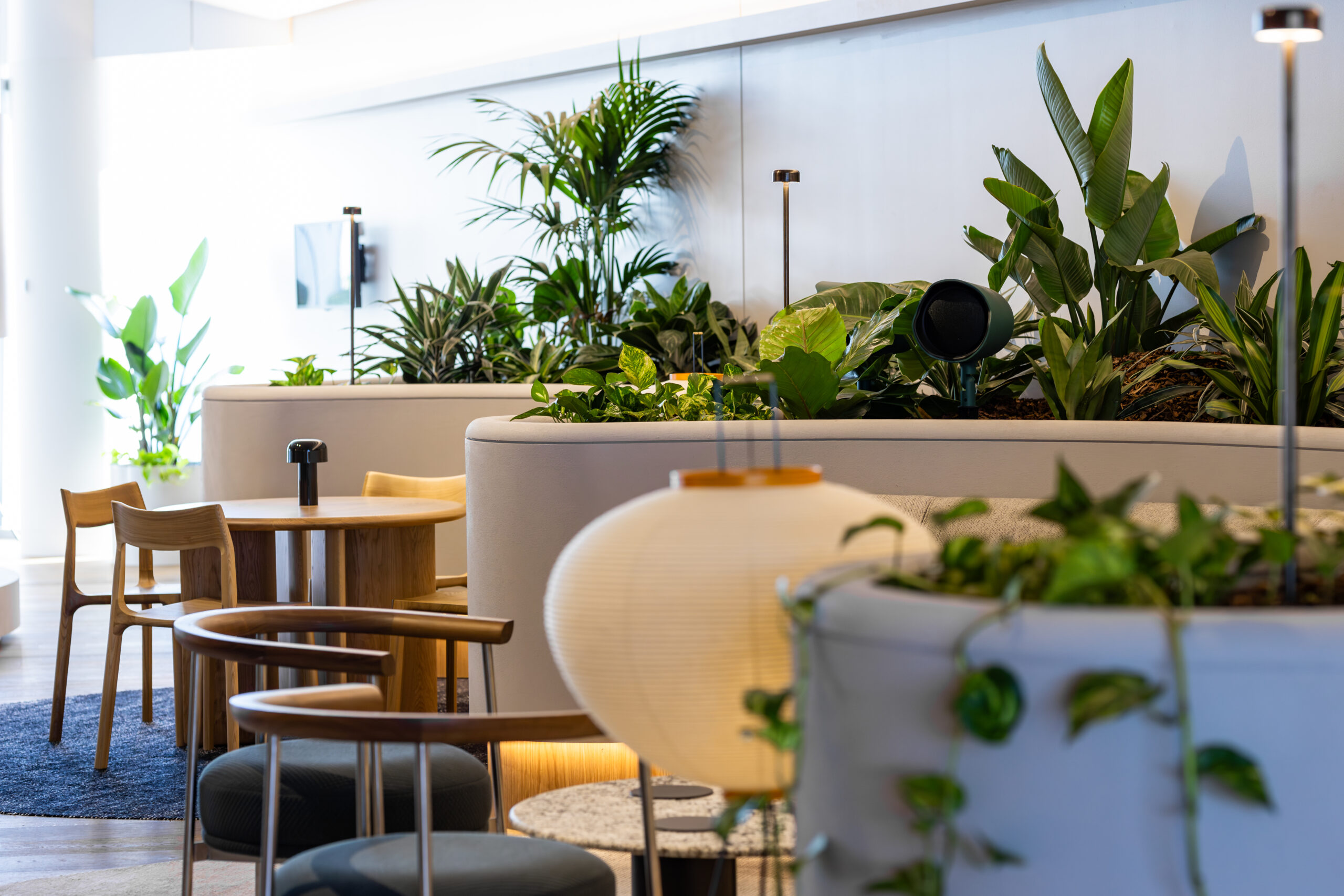 Breakout Space Plantscaping