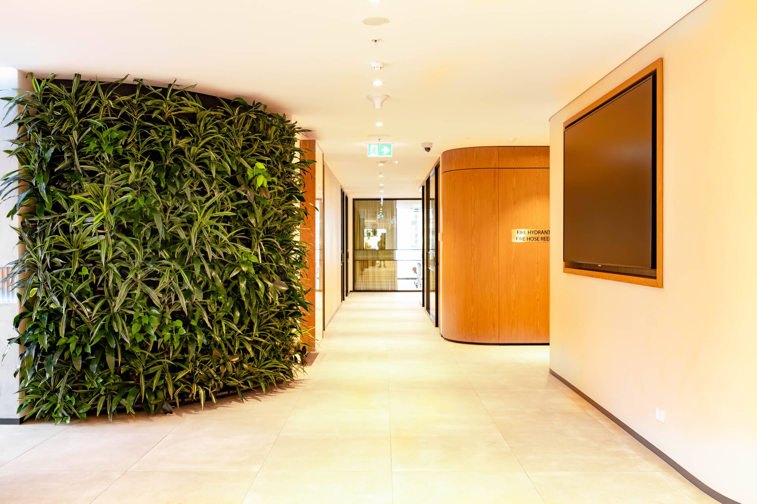 Indoor plant installation and maintenance