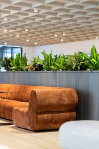 Two Gold Indoor Plant Hire Awards.