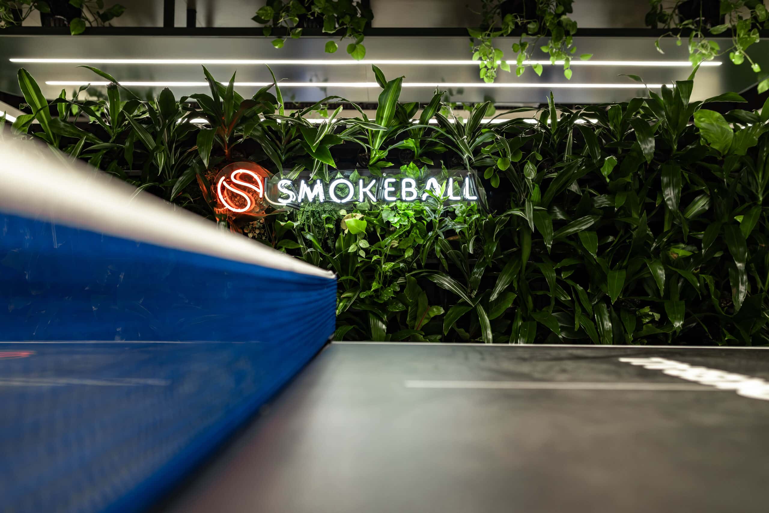 Green Walls for Offices