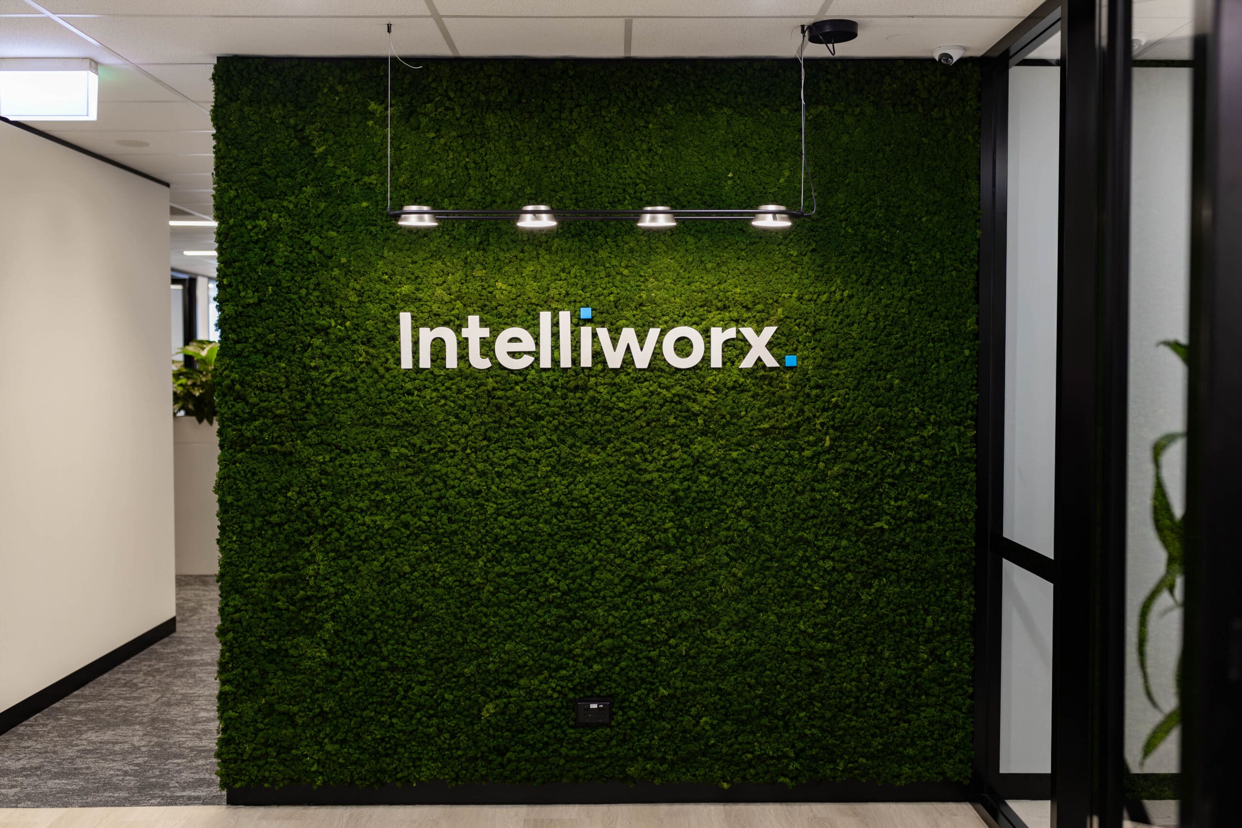 green walls for offices, green walls, vertical gardens, living walls, office plants,