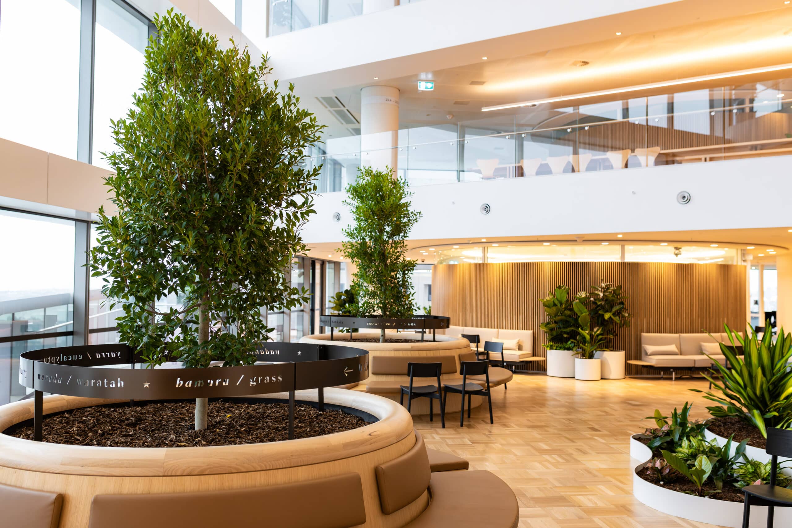 Green Culture in Office Design, Green Culture, Office Design, Corporate Green Culture,